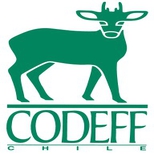 codeff